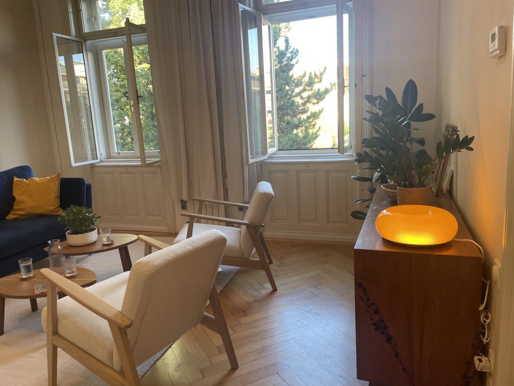 Praxisraum mit Sesseln und offenen Fenstern zum Garten